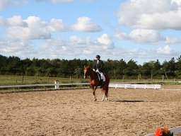 IMG_4249-062-redigeret